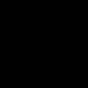 Meet your Posher, Joan